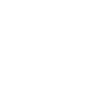 Caveman Foods